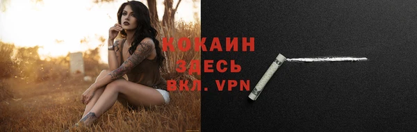 твердый Няндома