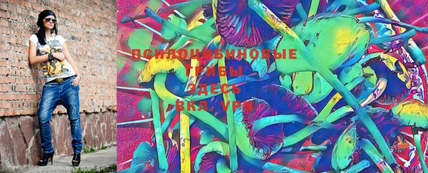 PSILOCYBIN Нязепетровск