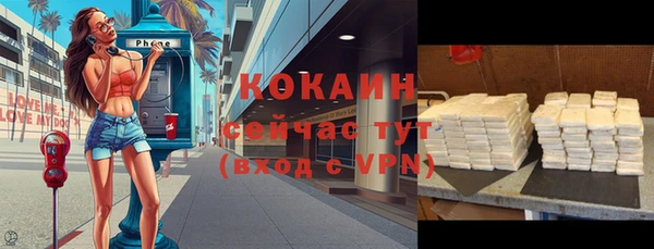 твердый Няндома