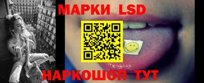 прущие грибы Камышлов