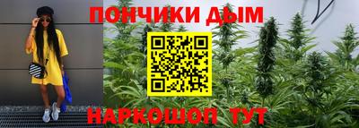 прущие грибы Камышлов