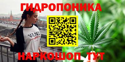 ПСИЛОЦИБИНОВЫЕ ГРИБЫ Кандалакша