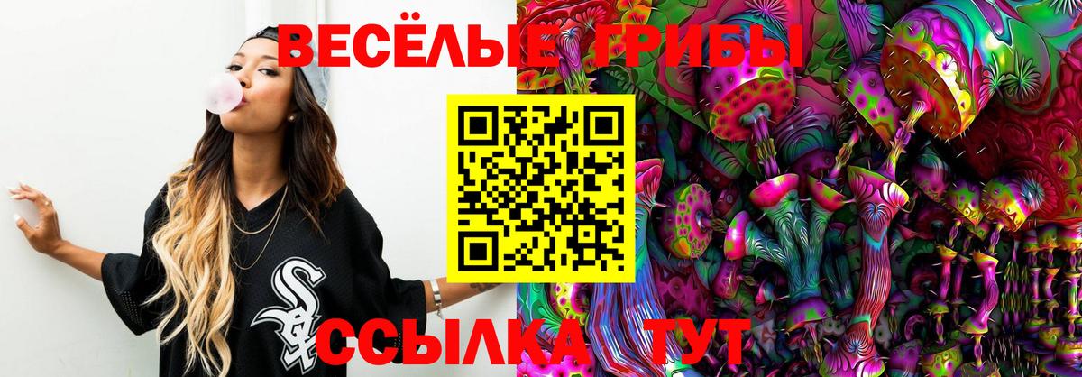 Псилоцибиновые грибы GOLDEN TEACHER Муром