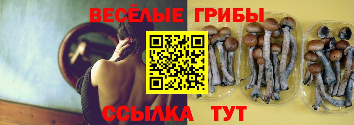 Галлюциногенные грибы мухоморы  Вход с VPN  Муром  Галлюциногенные грибы ЛСД 